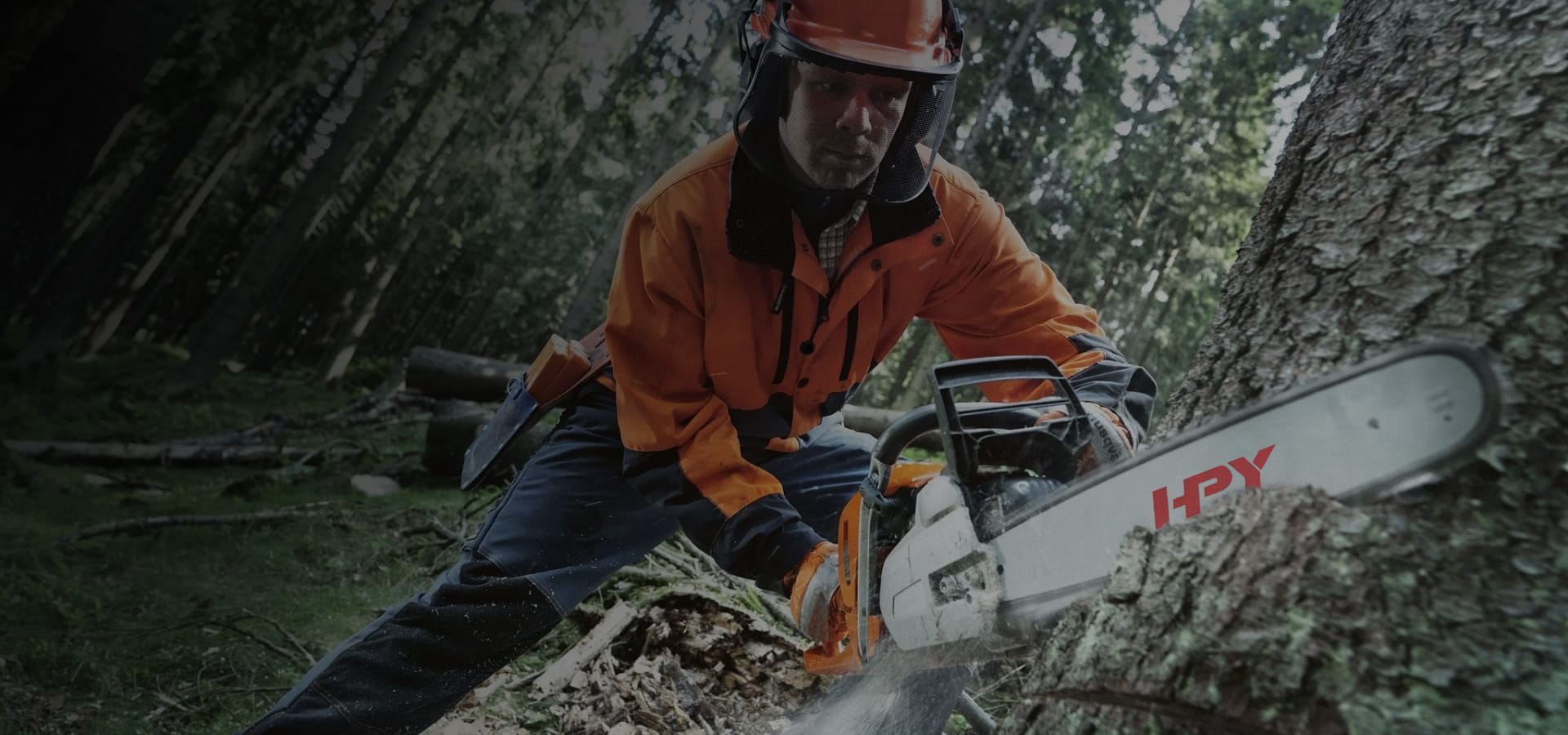 Introduction to Chainsaw Chains: Understanding the Basics