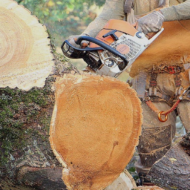 Will the sawdust on chainsaw chains cause corrosion if it is not cleaned for a long time?