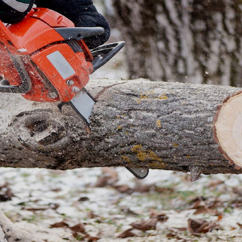 Do I need to remove and store the chainsaw chain if it is not used for a long time?