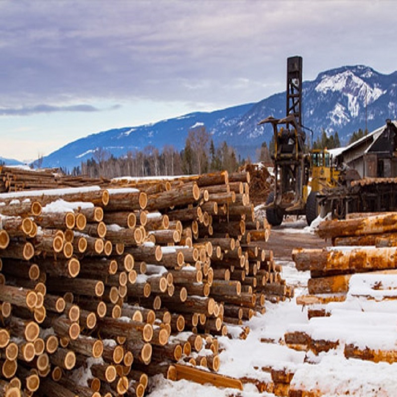 Can the use of a depth gauge tool control the cutting depth of a chainsaw chain?