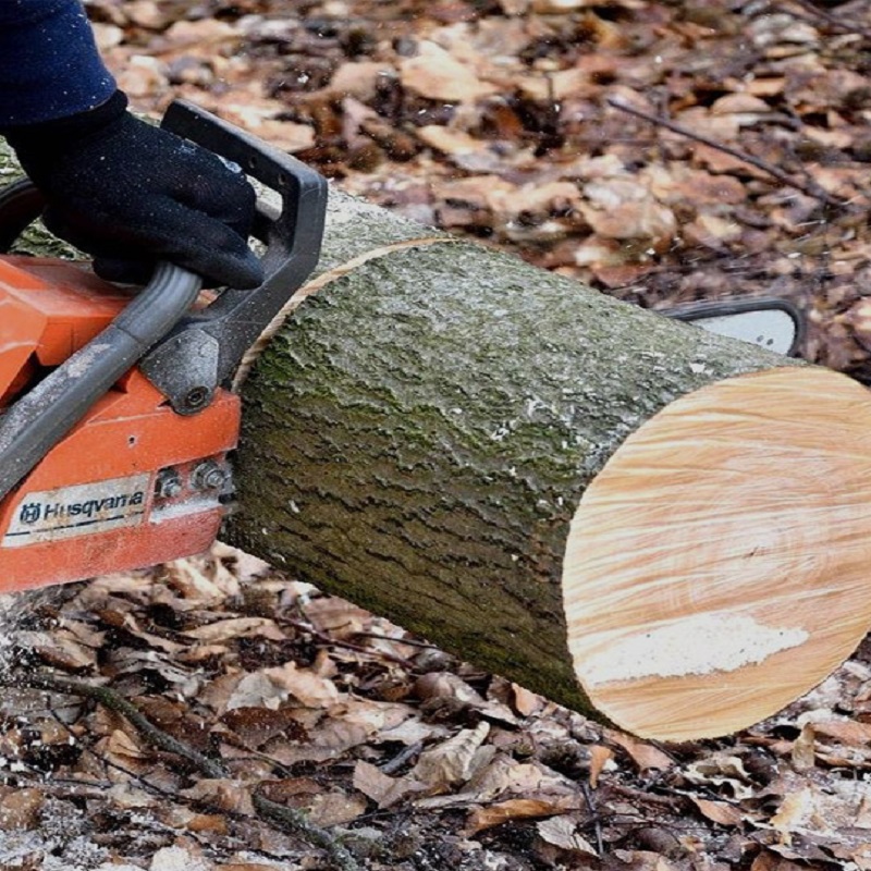 Does a chainsaw chain need to be lubricated with chain oil?