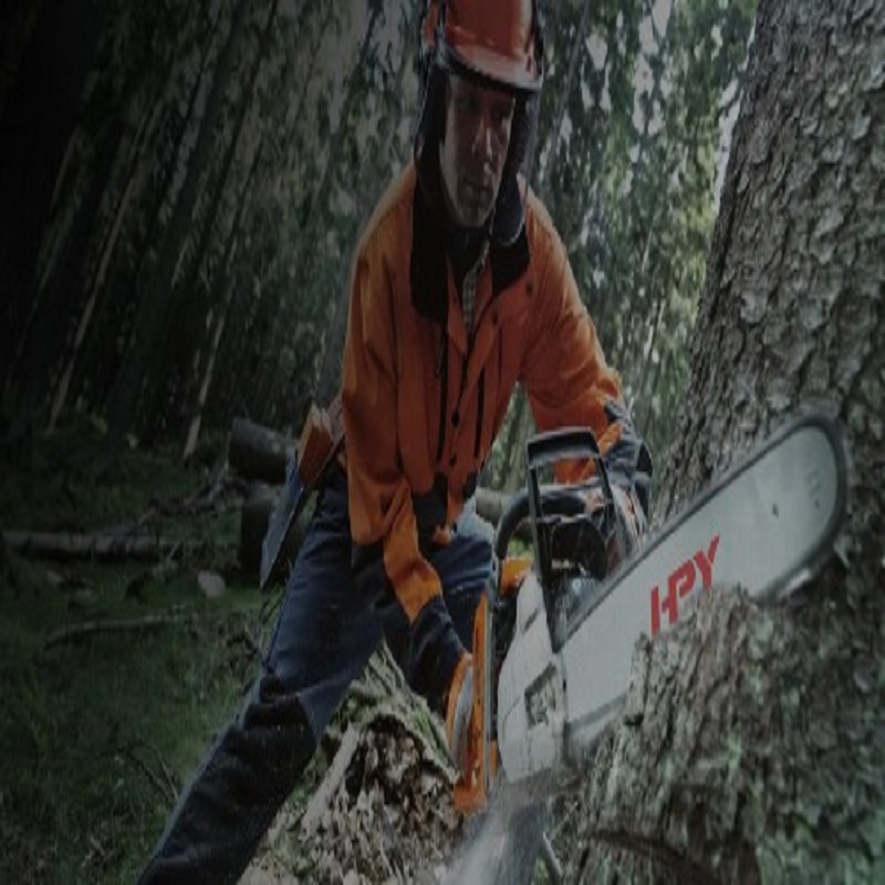 Does a cleaner chainsaw chain mean more efficient cutting?